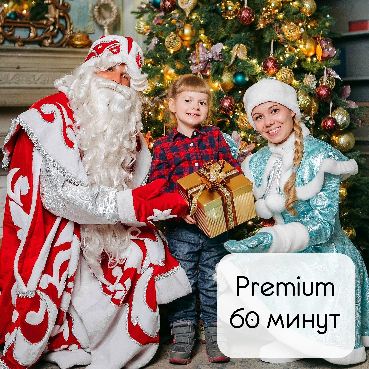 Улица. Дед Мороз и Снегурочка Premium! (60 мин.)